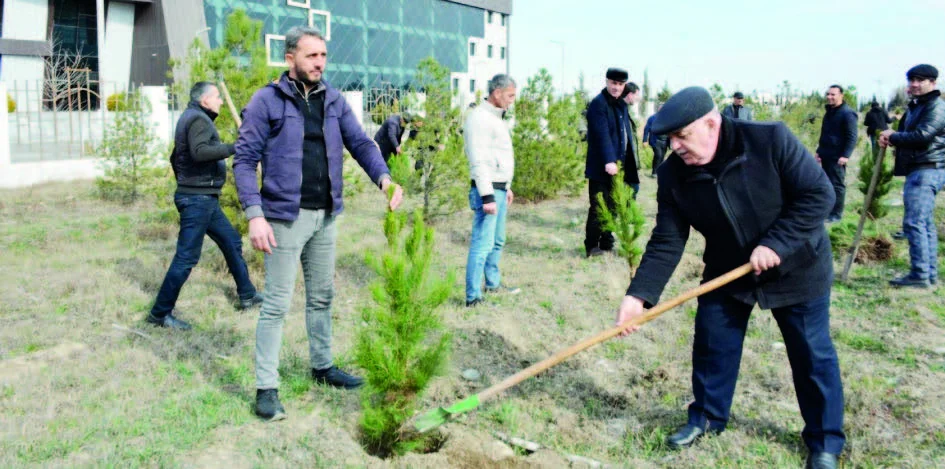 Tərtərdə yaşıl aksiya