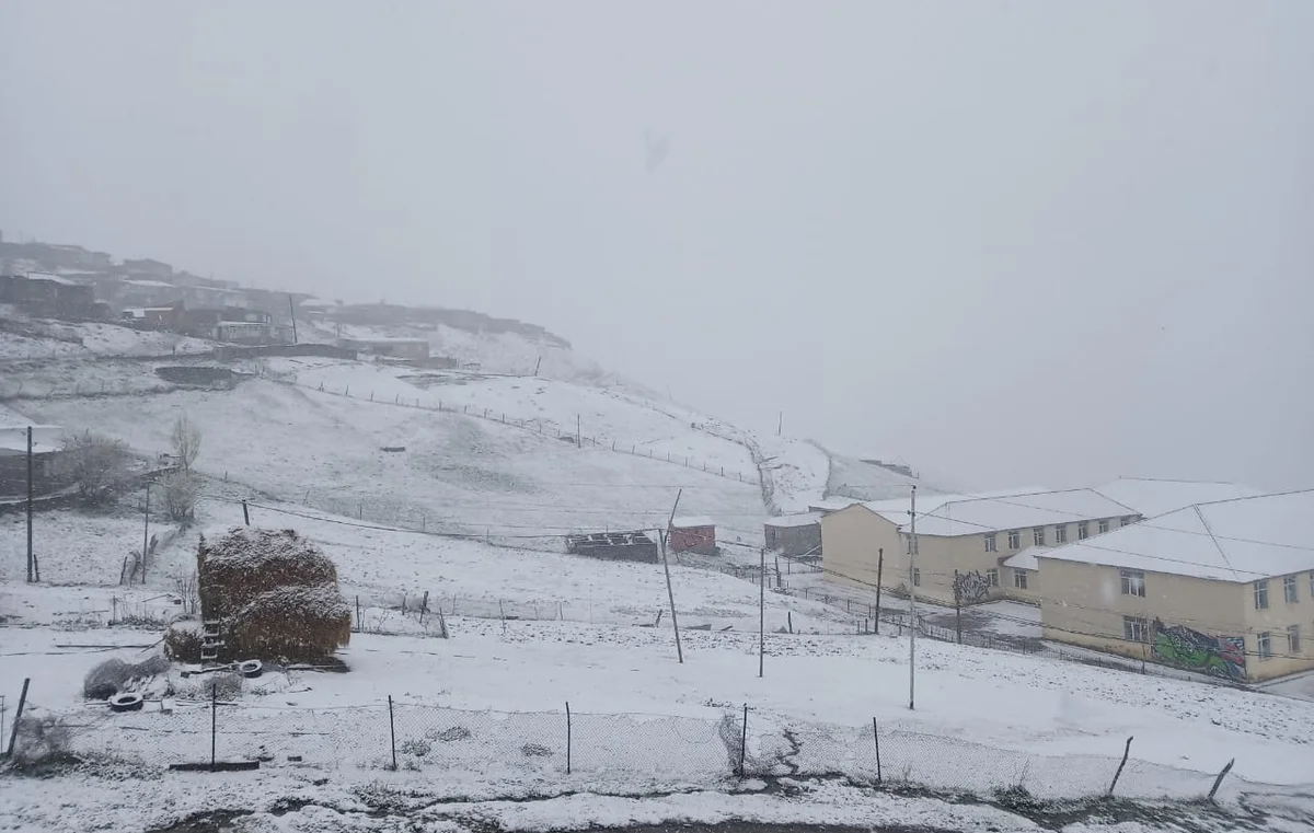 Фактическая погода: в Баку и на Абшероне снег, в горных районах 19°C