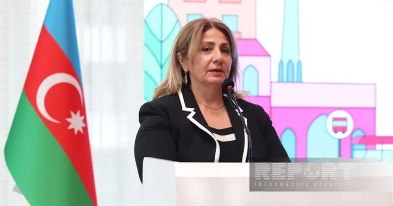Гюльшан Рзаева: Азербайджан на WUF13 представит мировому сообществу свой опыт в области градостроительства
