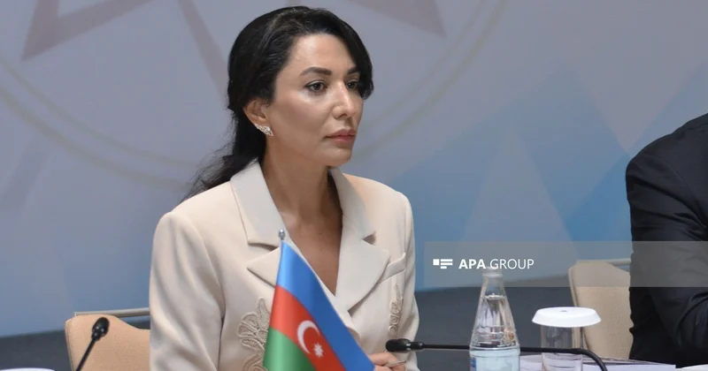 Омбудсмен предложил наделить его правом законодательной инициативы