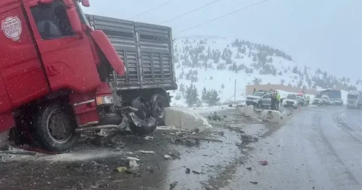 Azərbaycanlı sürücü yol qəzasında öldü