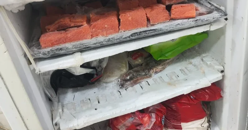 Soyuducu təmizlənmir Bakıda suşi emalı müəssisəsinin fəaliyyəti müvəqqəti dayandırıldı