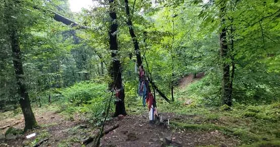 Ağaca ip bağlamaq, qara parça dolamaq, pirlərdə niyyət tutmaq və ya şüşə sındırmaq İslama ziddir Video