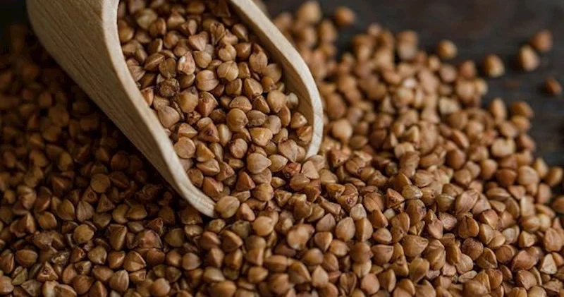 İdxal olunan “qreçka”nın 99,5% i Rusiyadan gətirilir Kiloqramı 70 qəpikdən