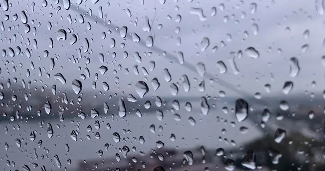 Прогноз погоды: завтра опять дожди
