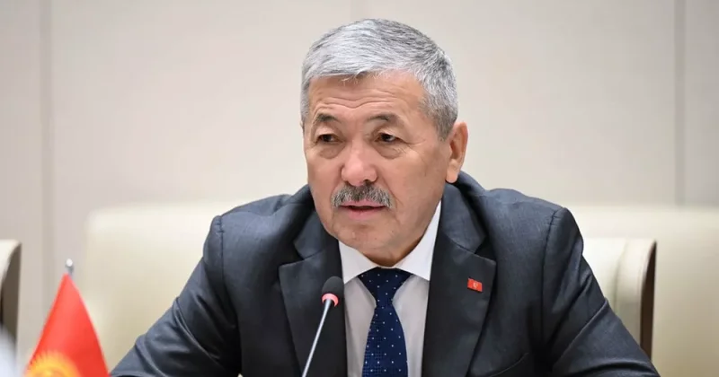 Касымалиев призвал ограничить тотальные проверки на границах ЕАЭС