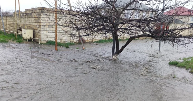 Qubada kanalizasiya borusu tutulub, 10 dan çox həyəti çirkab suları basıb