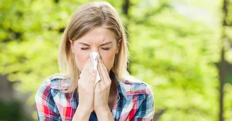Mövsümi allergiya əlamətlərini azaltmaq üçün səkkiz SADƏ ÜSUL