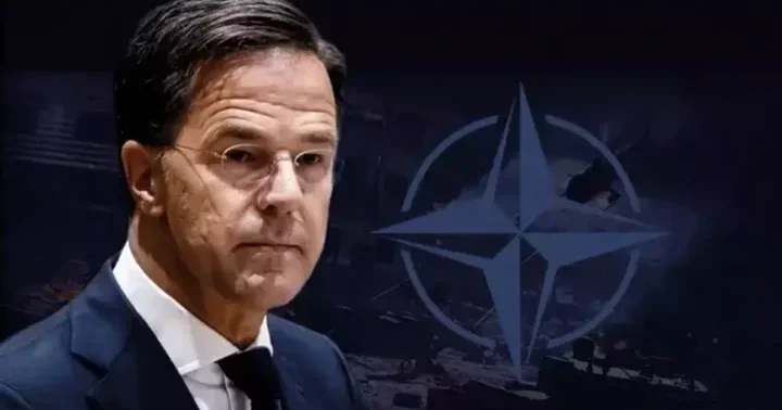 Azərbaycan NATO münasibətləri yeni mərhələyə keçir ANALİTİK