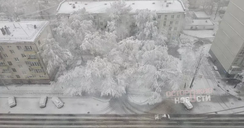 Столица России засыпана снегом: ФОТО / ВИДЕО
