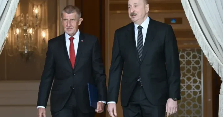 Biz buraya ÇES adlanan yarıdövlət şirkətimizlə gəlmişik və o, müqavilə imzalamaq istəyir