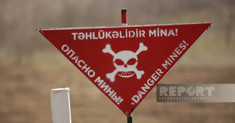 ANAMA: На освобожденных территориях за неделю от мин очищено около 1,6 тыс. га