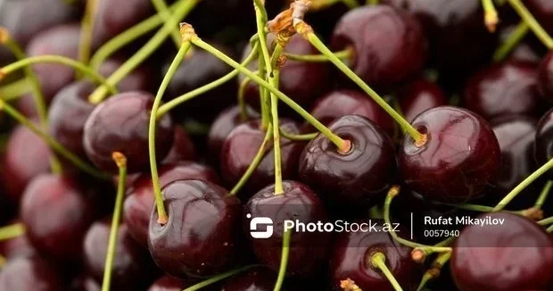 В чем причина стабильно высоких цен на черешню?