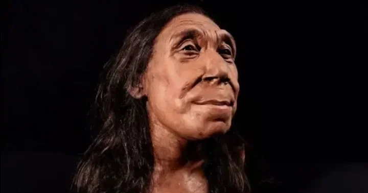 Neandertal sənətçi nin əl işi tapıldı