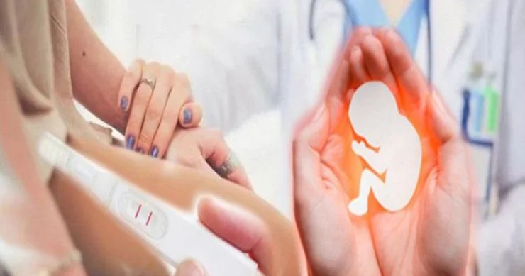 Donor luq maskası altında ticarət: Yumurta satan həkimlərin işbirliyi, QANUN HARADADIR? YENİLƏNİB