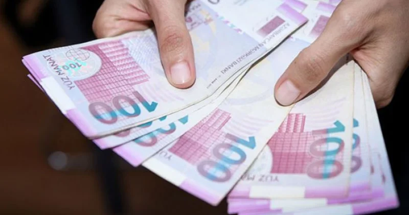 Alimlərin əməkhaqqı artırılmalıdır Deputat
