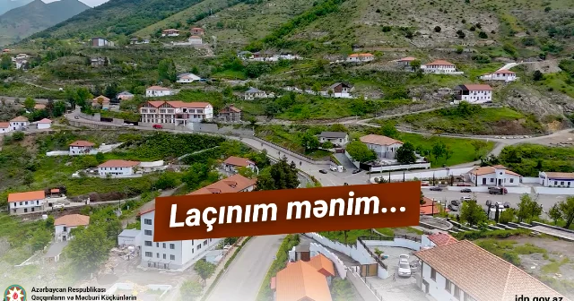 Laçınım mənim... VİDEO