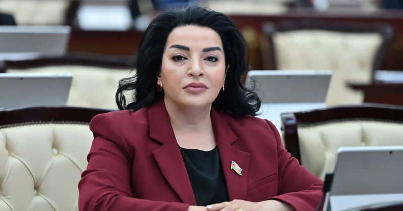 Müstəqillik Günü Azərbaycan Xalq Cümhuriyyətinin əbədi irsi və müasir inkişafımızın təməli ŞƏRH