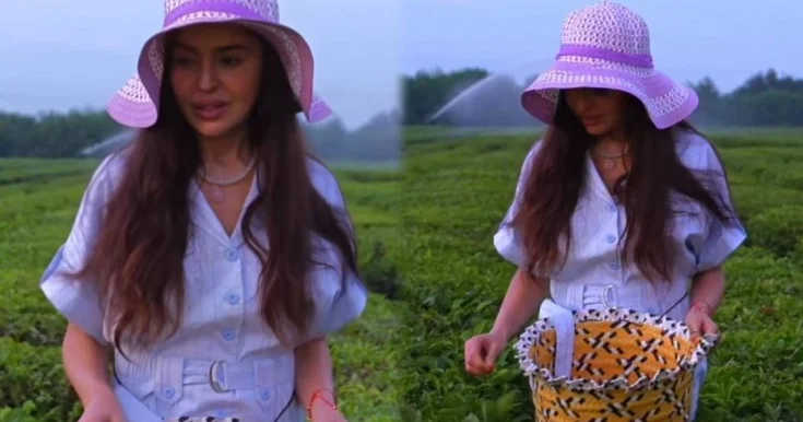 Leyla Əliyevanın Lənkərandan maraqlı paylaşımı Video