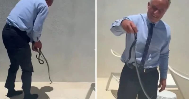 Nazir ilanı çılpaq əllə tutdu, gündəm oldu Video