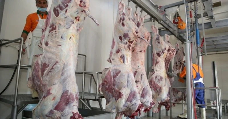 Qurban bayramı günlərində ölkə üzrə 134 ünvanda satış və kəsim xidmətləri göstərilir