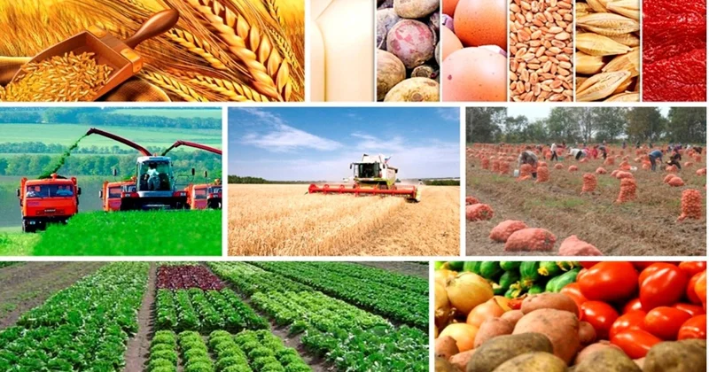 Aqrar inkişafın yeni mərhələsi: məhsuldarlıq, ərzaq təhlükəsizliyi və ixrac gücü TƏHLİL