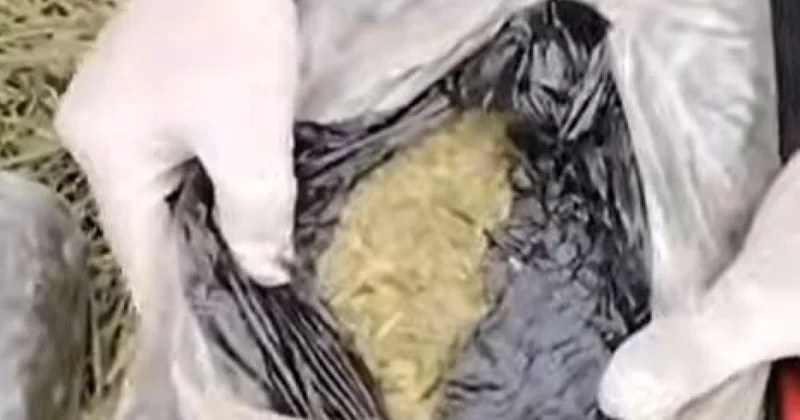 Наркотики с доставкой на параплане видео