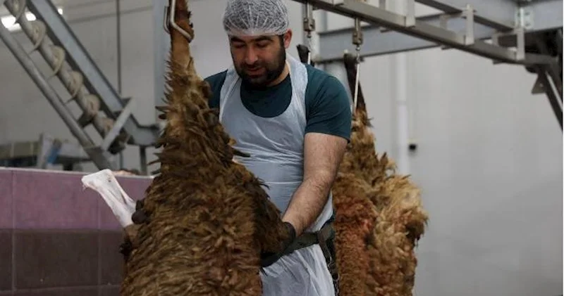 Qurbanlıqların kəsimi ilə bağlı xoşagəlməz hallarda nə etməliyik?