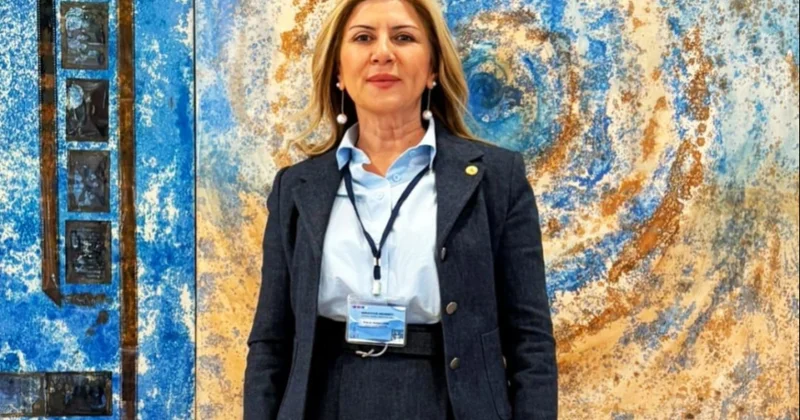 Türkiyəli professor: Zəngilanda icra olunan layihələr beynəlxalq platformalarda diqqət çəkir