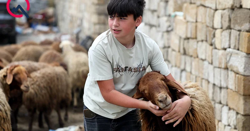 Günün qurbanları... Fotolar