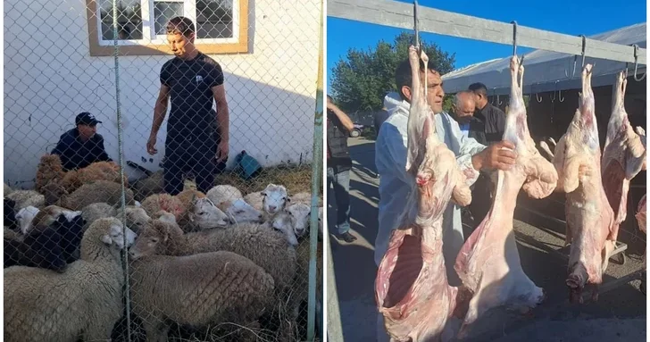 В Агдамском районе около трех тысяч нуждающихся семей получили мясо к празднику Гурбан