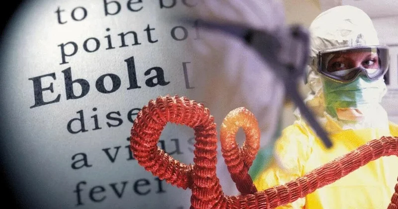 Dünyanın yenə anlamaq istəmədiyi yeni Ebola dərsi