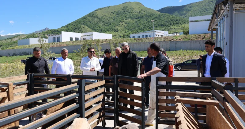 Laçında qurbanlıq heyvanların kəsilməsi baytarlıq nəzarəti altında təşkil olunub