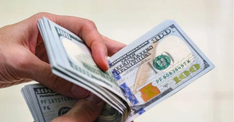 Pulunu dollarla saxlamaq istəyənlərə VACİB XƏBƏR