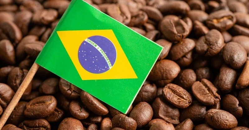 Braziliyadan dünya bazarına qəhvə tədarükü kəskin şəkildə azaldı