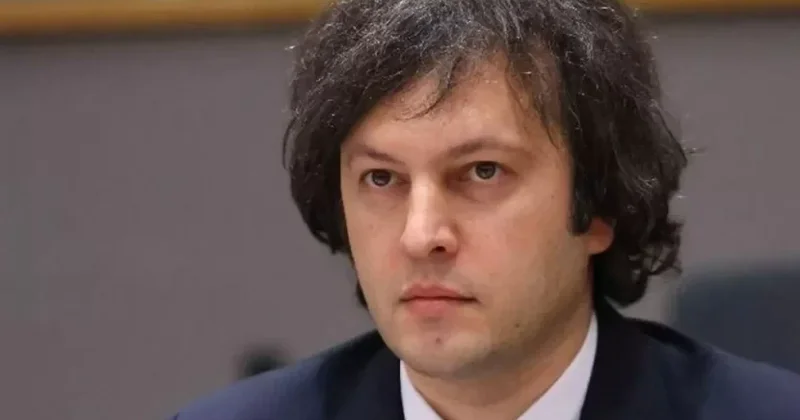 Kobaxidze: Anaklia limanının tikintisinin birinci mərhələsi 2029 cu ilədək başa çatacaq