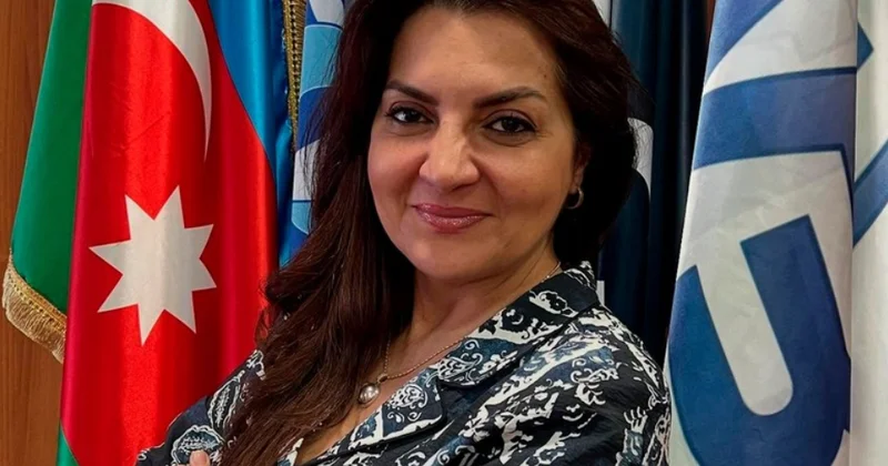 AVF rəsmisi Gürcüstana nə üçün gedib?