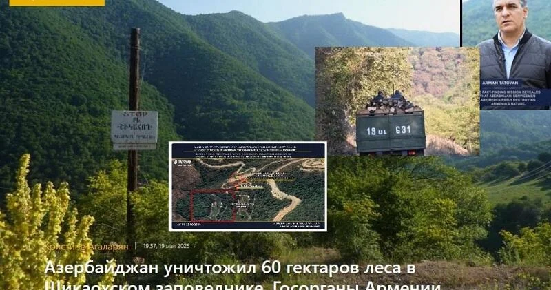 Erməni mətbuatının “Azərbaycanı meşələrin qırılmasında” ittiham etməsi ilə bağlı manipulyasiyası nəyə hesablanıb? FOTO