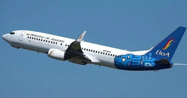 Птица разбила стекло летящего самолета рядом с одним из пассажиров