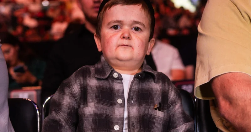И Хасбик приехал на UFC в Баку ФОТО