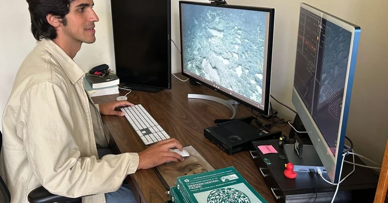 Nadir goblin köpəkbalığı ilk dəfə təbii yaşayış mühitində görüntüləndi FOTO