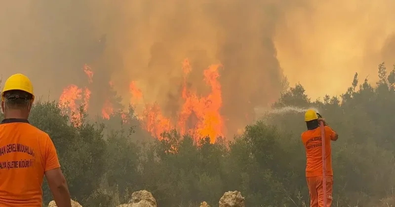 Türkiyənin bəzi bölgələrində meşə yanğınları davam edir KONKRET