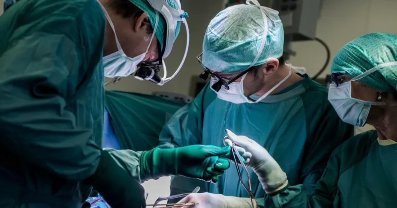 Alimlər reanimasiyasız şəkildə donor ürəyini diriltmək üsulu kəşf etdi