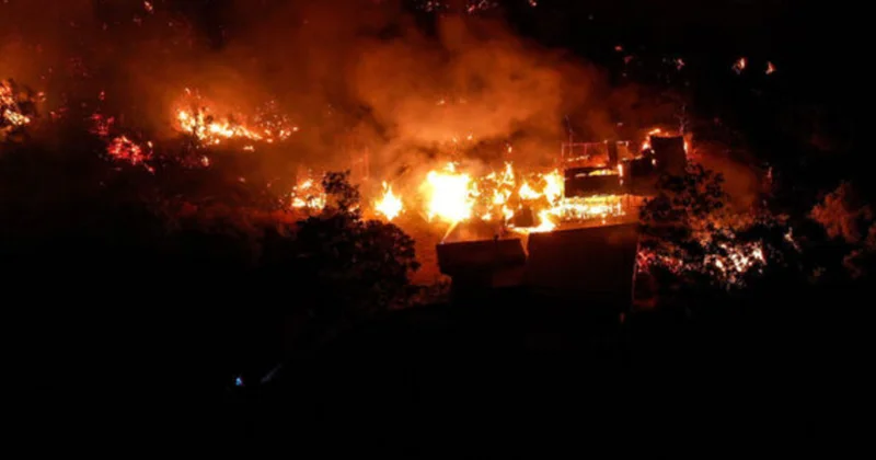 Güclü meşə yanğını Bursa vilayətini cənginə aldı