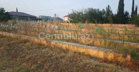 Cəlilabadın baxımsız qalan stadionu yararsız halda VİDEO