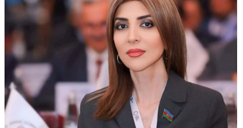 Fransa Cənubi Qafqazdakı yeni reallıqları qəbul etməkdə çətinlik çəkir ŞƏRH