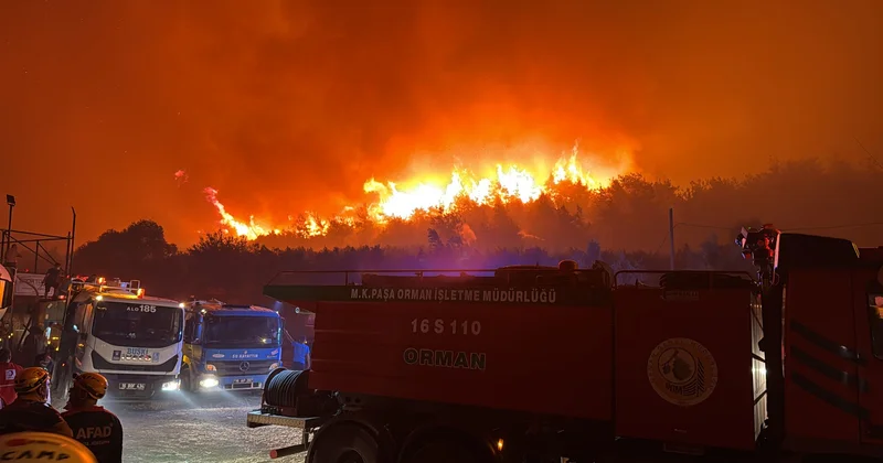 Bursada güclü meşə yanğını: 1700 dən çox insan təxliyə olundu