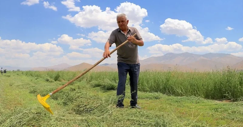 Van gölü hövzəsində istehsalçıların ümidləri artıb