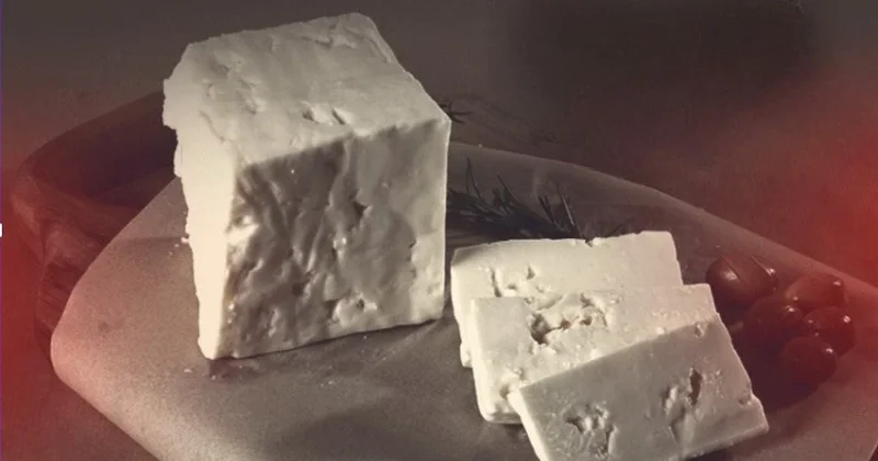 Ağ pendirdə Listeria həyəcanı: Mütəxəssislərdən vacib xəbərdarlıq