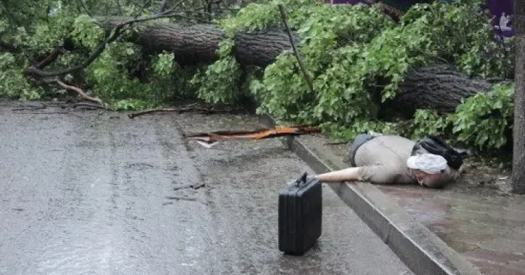Külək ağacı aşırdı, 1 nəfər xəstəxanalıq oldu